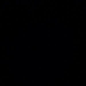 Meet your Posher, Carina