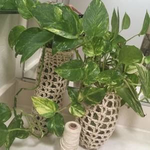 Meet your Posher, Noela