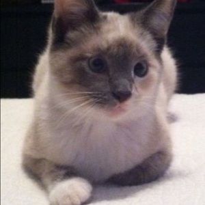 Meet your Posher, Lisa