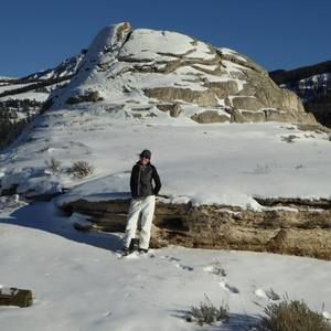 Meet your Posher, Karissa