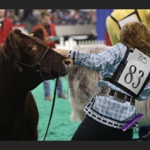 Meet your Posher, Madison