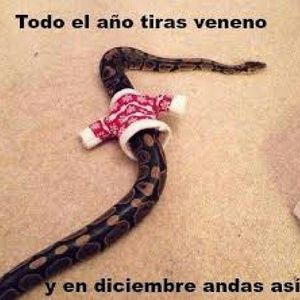 Meet your Posher, Sally