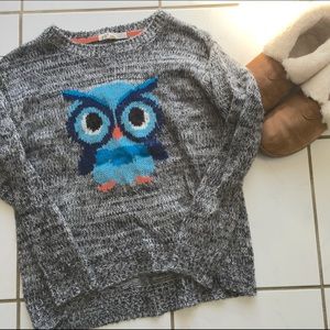 Owl High/Low Sweater