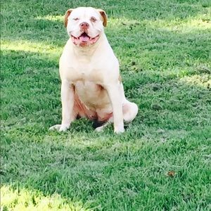 Meet your Posher, Skylar