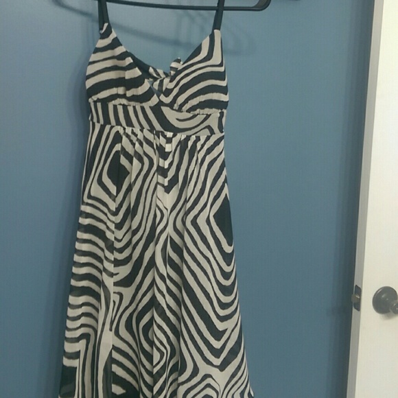 Zebra Print Dress