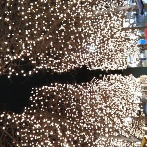 Meet your Posher, Taryn