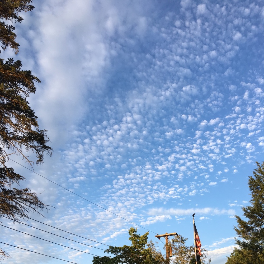 Meet your Posher, Dana