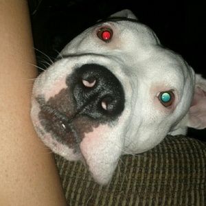 Meet your Posher, Lindsey