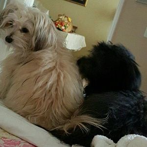 Meet your Posher, Kay