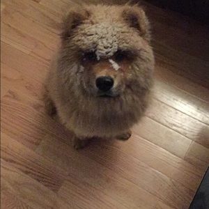 Meet your Posher, Stacey