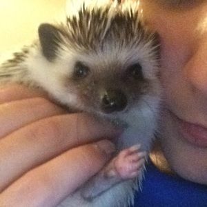 Meet your Posher, Bri