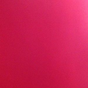 Meet your Posher, Dina