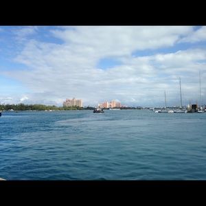 Meet your Posher, Maureen