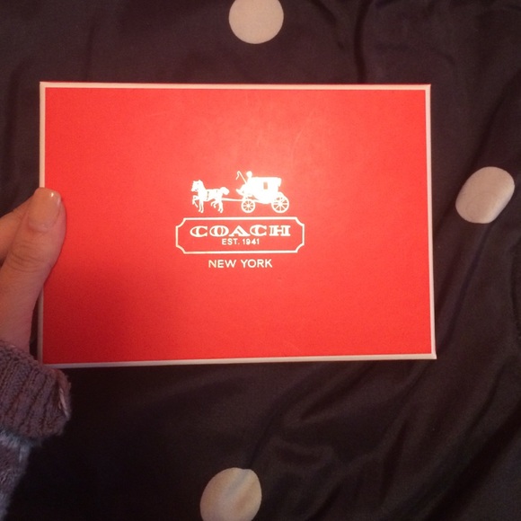 Coach storage box