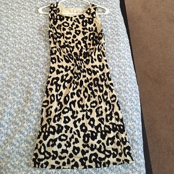 Ann Taylor LOFT dress XS