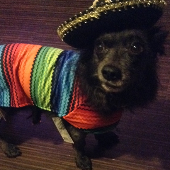 Meet your Posher, Jeanette