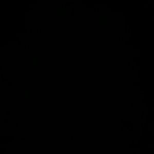 Meet your Posher, Ken