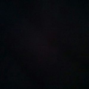 Meet your Posher, Princess