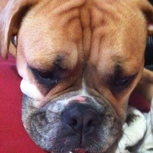 Meet your Posher, Brenden