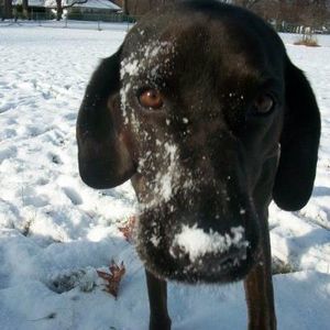 Meet your Posher, Gabe