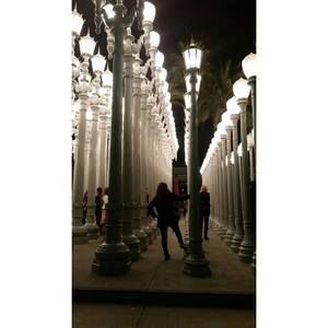 Meet your Posher, Jacqueline