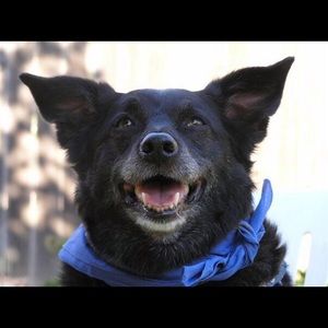 Meet your Posher, Lynn