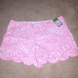 NWT size 14 Hubba Bubba Sea Cups Buttercup short