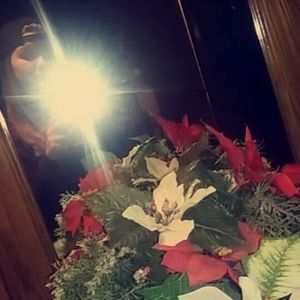 Meet your Posher, Ashlyn