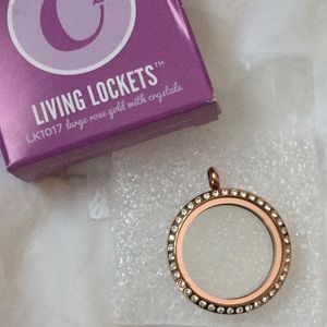 Origami Owl large locket with crystals-Rose Gold