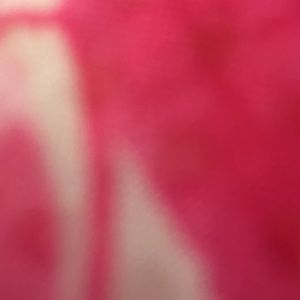 Meet your Posher, Leem