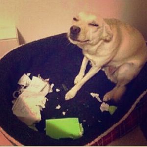 A paper (it's been tore up)