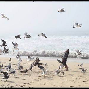 Meet your Posher, Pauwie