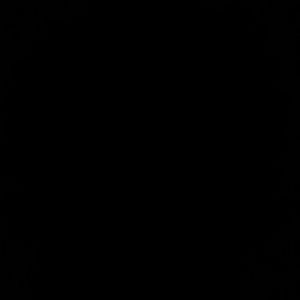 Meet your Posher, Doroty