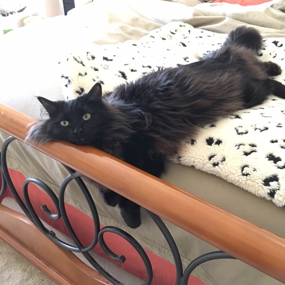 Welcome to Audshop🌟Poshmark Ambassador 🌟 - Picture 8 of 15