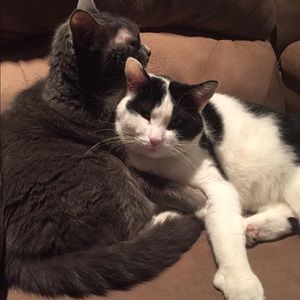 Meet your Posher, Lindsay