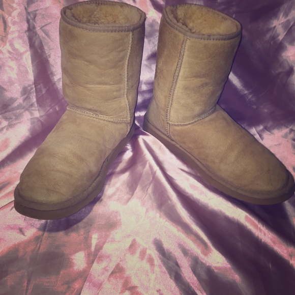 Short Classic Sand Colored Ugg Boots EUC