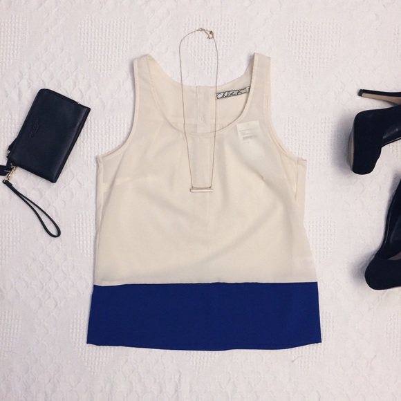 NWT Chloe K Color Block Top