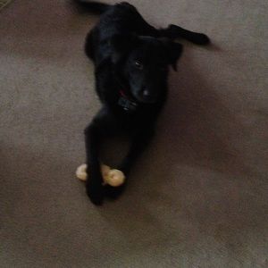 Meet your Posher, Marianne