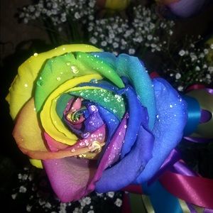 Meet your Posher, Jaclyn