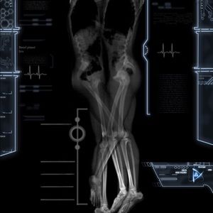 Meet your Posher, Jose