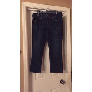 American Eagle Artist Crop Jeans