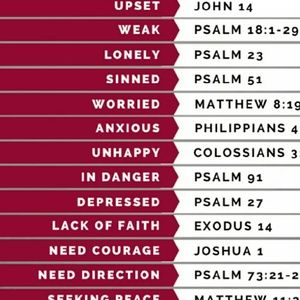 Meet your Posher, Tierra