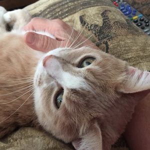 Meet your Posher, Cheryl