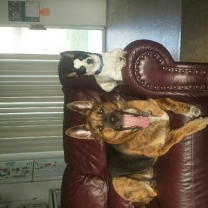 Meet your Posher, Kim