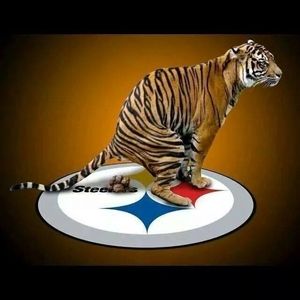 Meet your Posher, Bubba