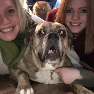 Meet your Posher, Colleen
