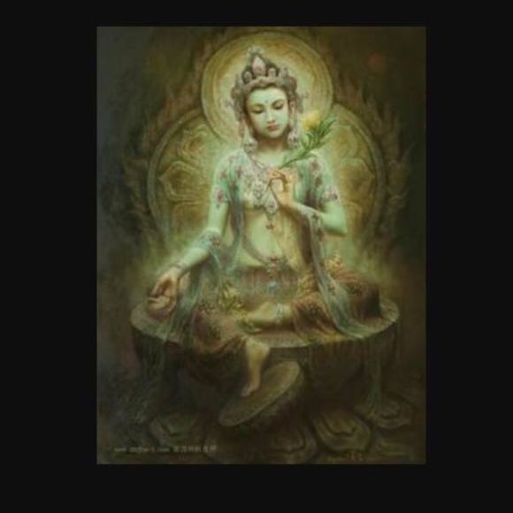 Meet your Posher, Casey - Picture 1 of 1