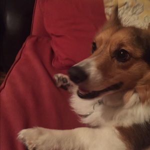 Meet your Posher, Seth