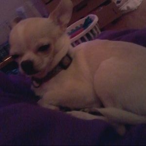 Meet your Posher, Megan