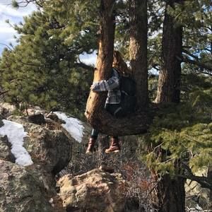 Meet your Posher, Paula